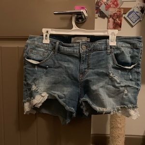 Torrid Sparkly Detail Shorts